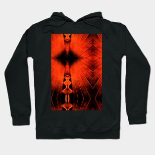 Sauna Hoodie